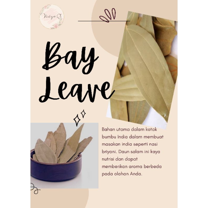 

Bay leave / Daun Salam India / Salam Koja