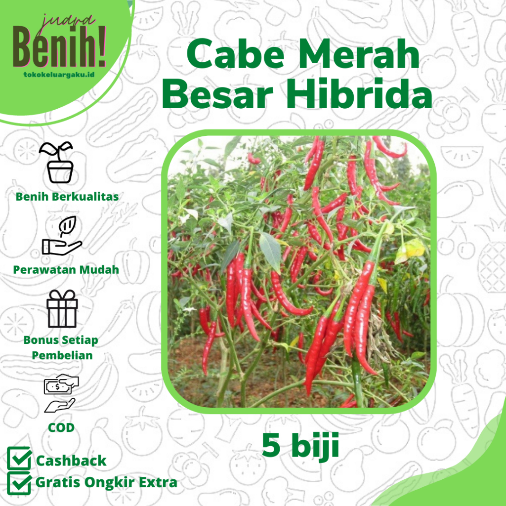 Benih Cabe Merah Besar Hibrida Kemasan Repack