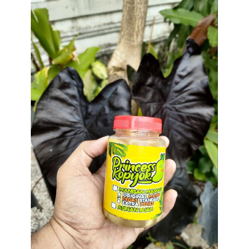 

PROMOSPESIAL ISI2 manisanmanggamuda