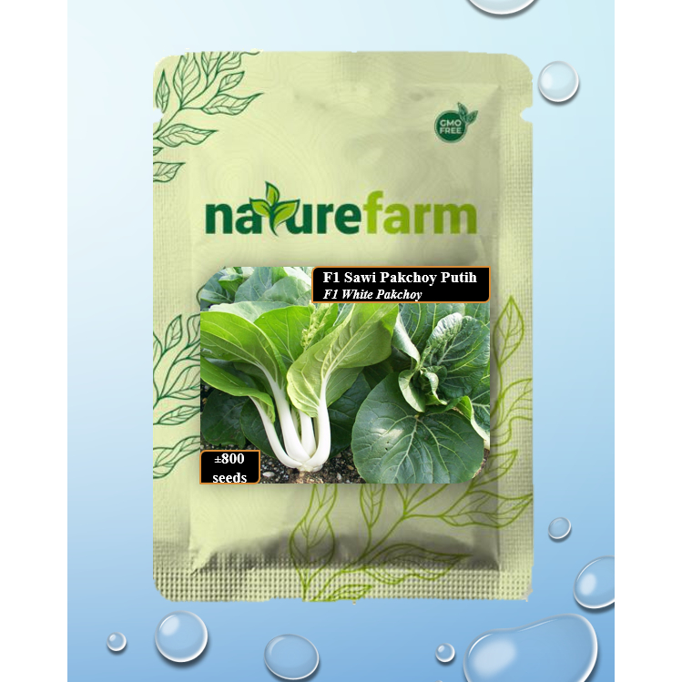 Naturefarm - Benih Sawi Pakchoy Putih F1 (F1 White Pakchoy) sawi dakota