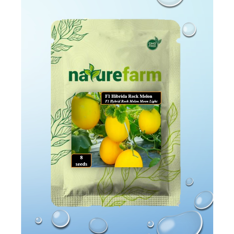 Naturefarm - Benih Rock Melon F1 Hibrida (F1 Hybrid Rock Melon Moon Light) isi 8 seeds
