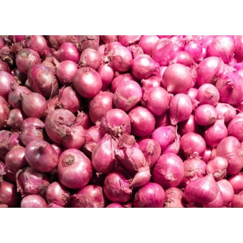 

Bawang Merah 1kg SUPER