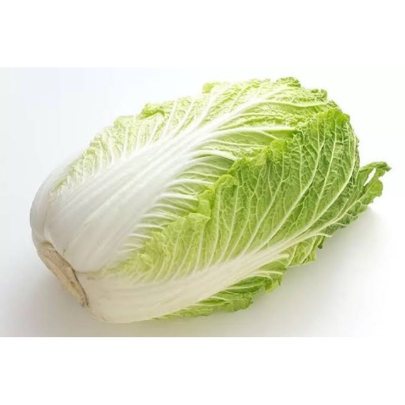 

SAWI PUTIH / SAYUR SEGAR SURABAYA