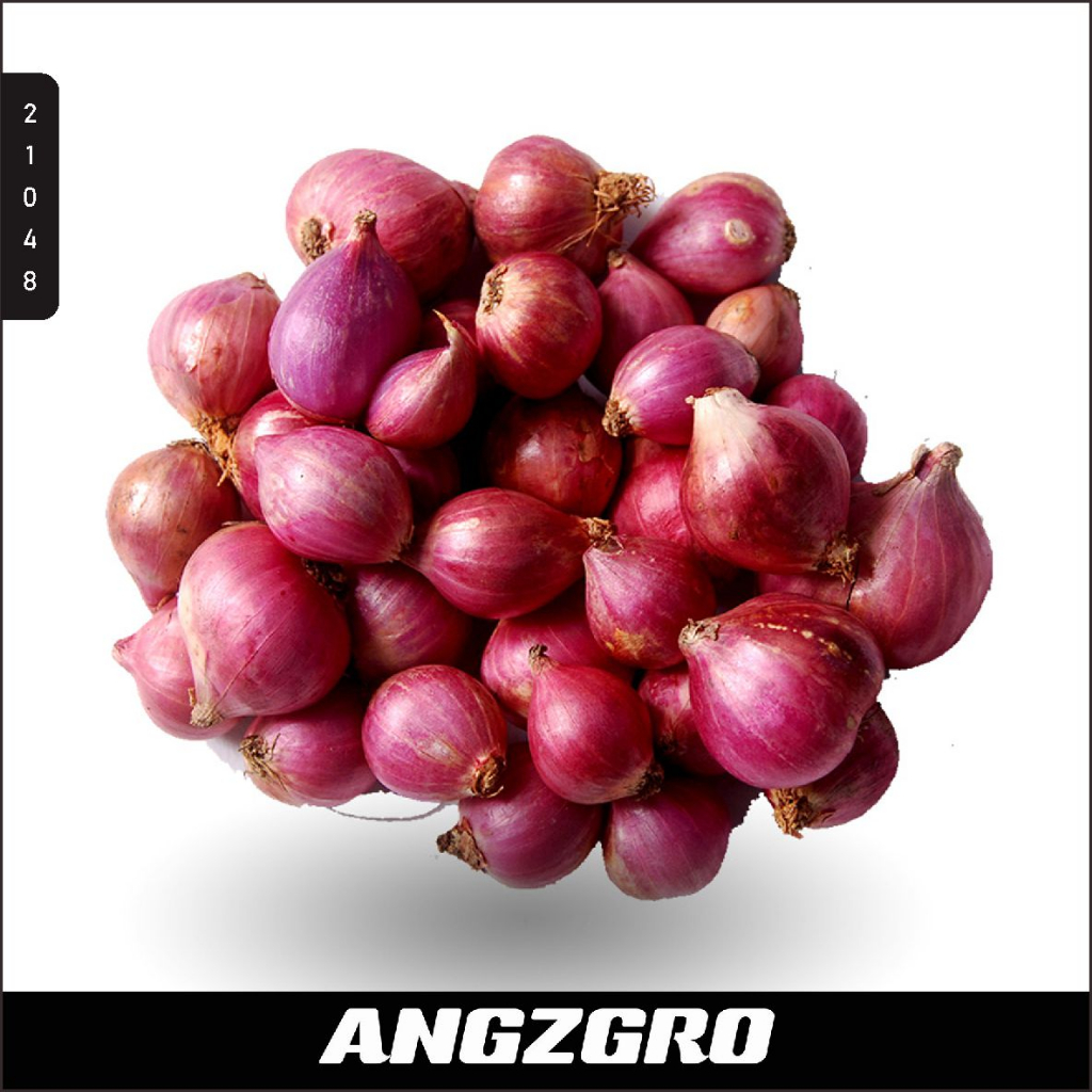 

Bawang Merah Brebes 500 Gr SBY