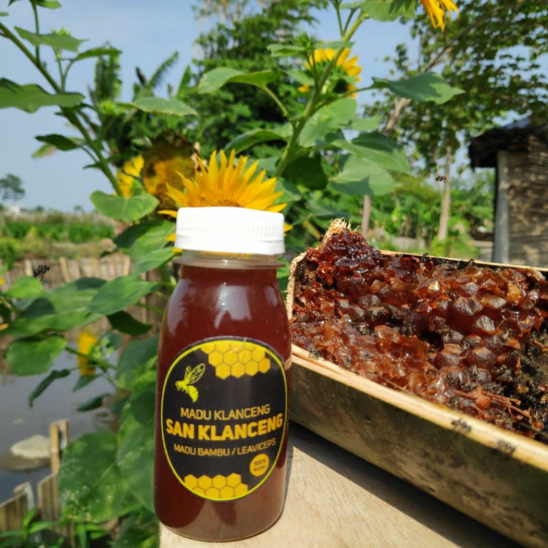 

MADU TRIGONA / MADU KLANCENG / MADU MURNI 100% DARI ALAM / MADU LEAVICEPE / MADU BAMBU