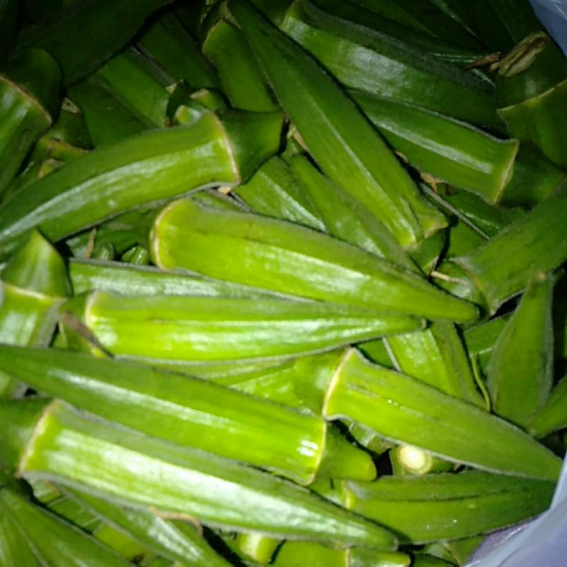 

SAYURAN OKRA OKRO