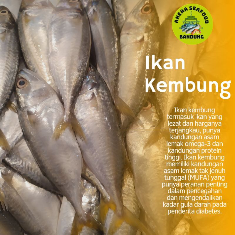 

Ikan Kembung Segar 500gr