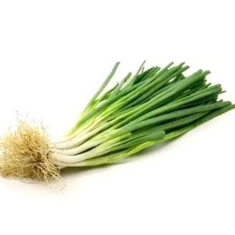 

[ MURAH ] - Daun Bawang