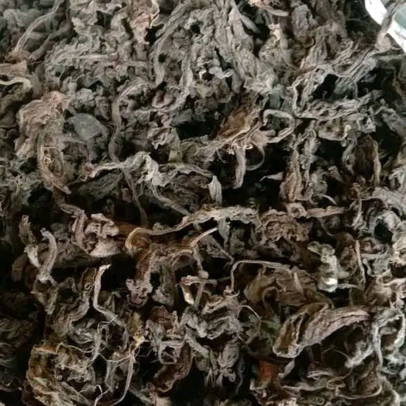 

⭐️⭐️⭐️⭐️⭐️ daun dewa kering premium 250 gram