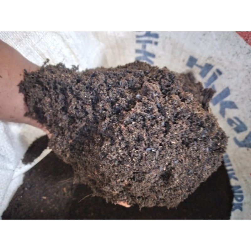 Fuddi// Pupuk Organik ( Kotoran hewan kambing fermentasi )