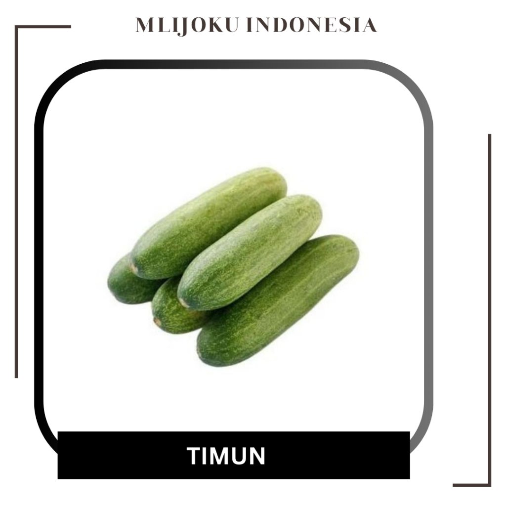 

Mentimun - Timun segar 250gr