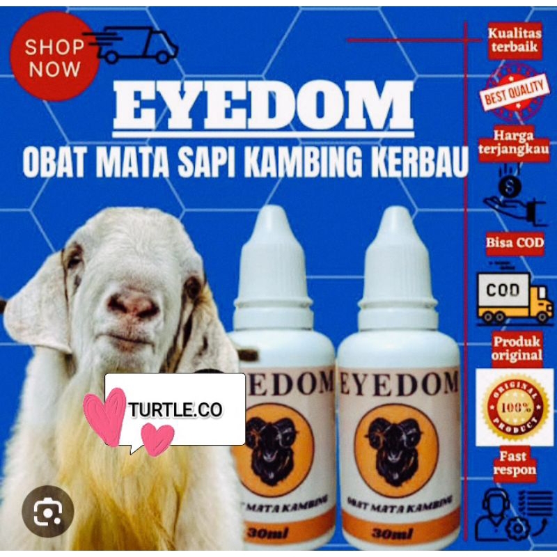 OBAT TETES MATA SAPI KAMBING EYEDOM 30 ML