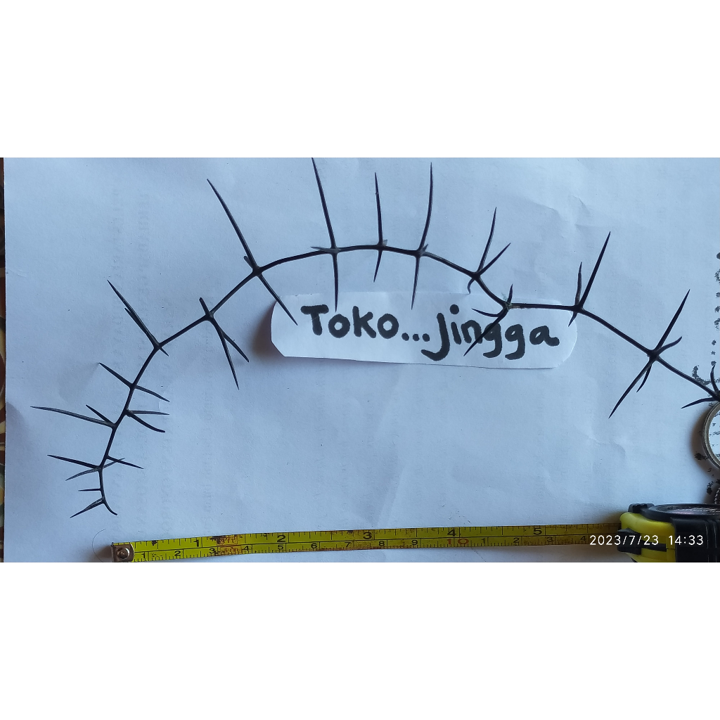 

Kemarung - Ri marung - Ri mbili