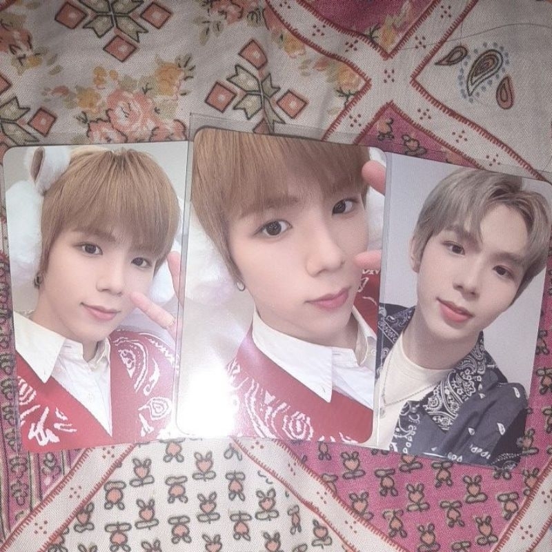 Shotaro pink christmast set (free Resonance pc)