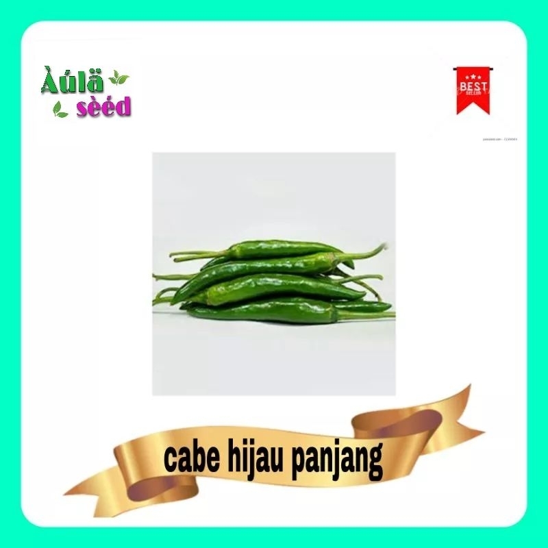 benih  biji cabe hijau panjang 100 biji