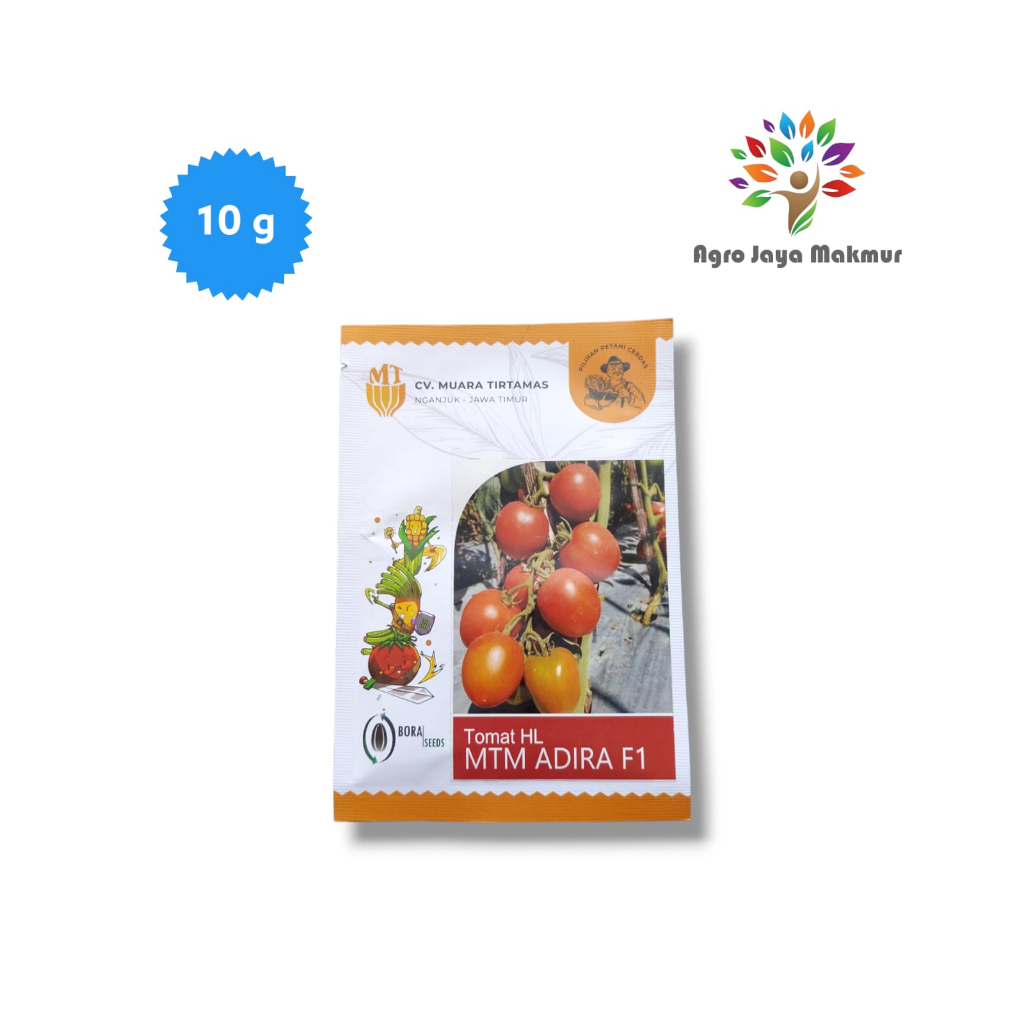 Bibit benih tomat besar MTM ADIRA F1 isi 10g/benih tomat unggul