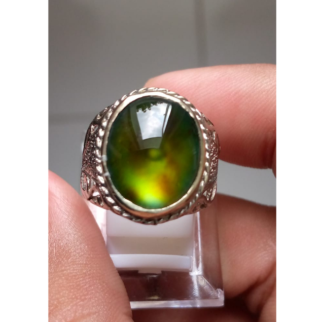 Natural Bacok bacan coklat cokmer coklat merah giwang