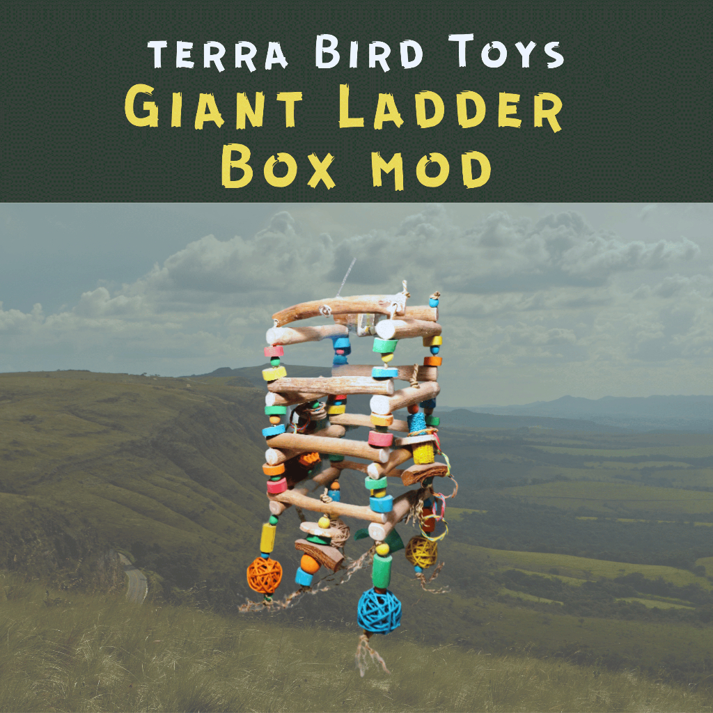 Terra Bird Toy - Giant Ladder Box Mod