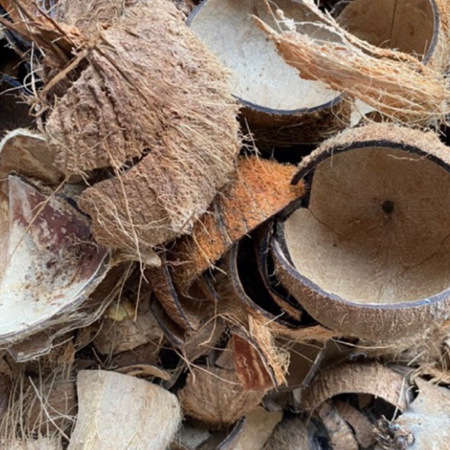

Batok Kelapa 5 Kg