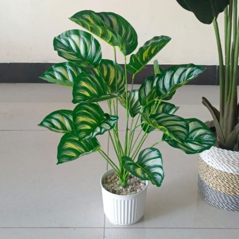 PROMO DAUN MONSTERA BESAR 18 CABANG DAN POT KAYU / BUNGA HIAS / BUNGA ARTIFICIAL/ BUNGA PLASTIK /
