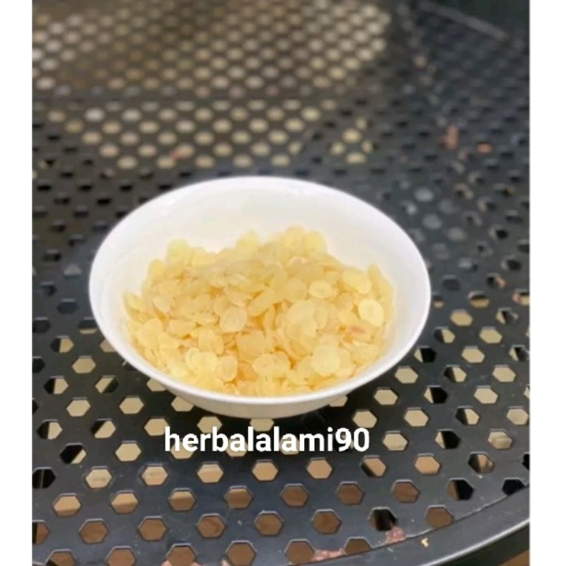

Xue Lian Zi/snow lotus seed/biji teratai salju 100gr