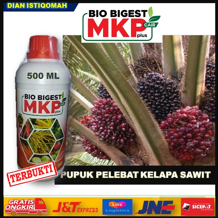 BAYAR COD DI RUMAH BIO BIGEST 500ml MKP Cair Pelebat Kelapa Sawit - Pupuk Cair Penyubur Tanaman Sawi