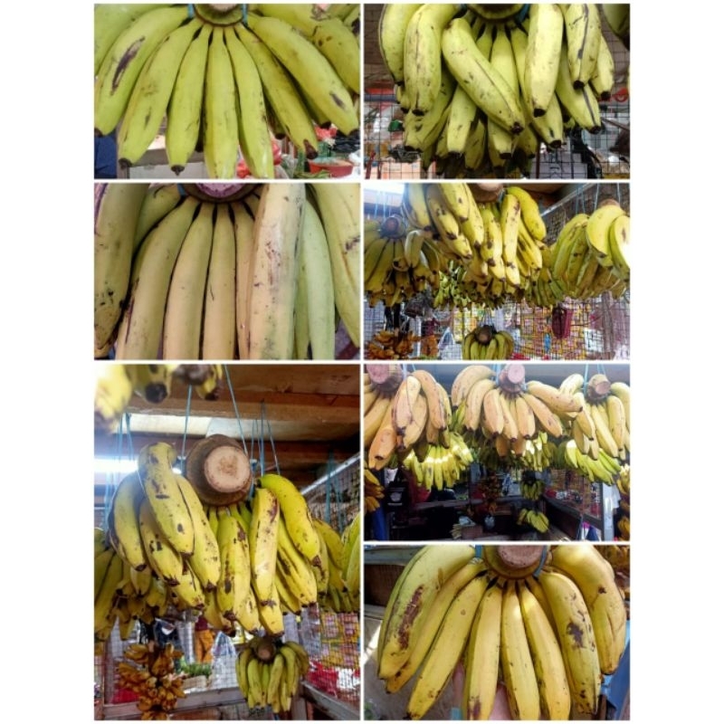 

pisang ambon