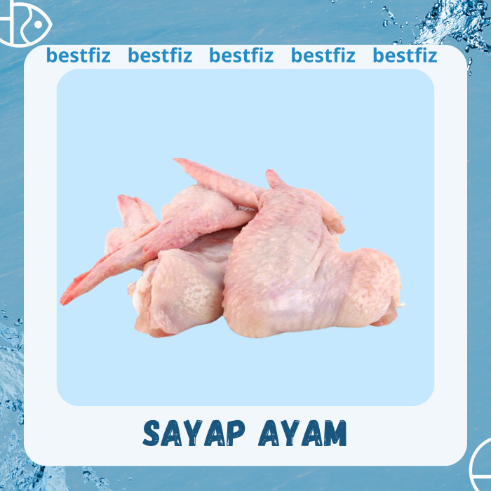 

Saya Ayam