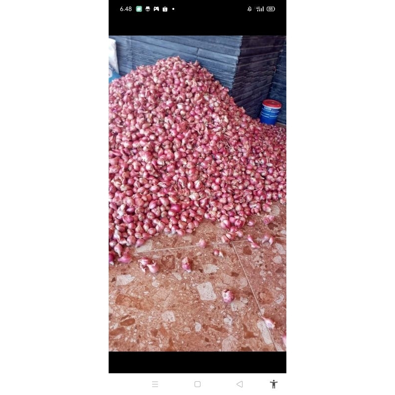 

Bawang merah Jawa 1kg