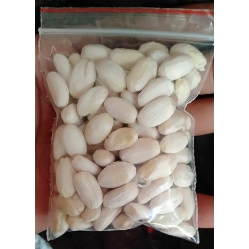 Umpan Bawal Harian Biji Jarak Kupas 100 biji