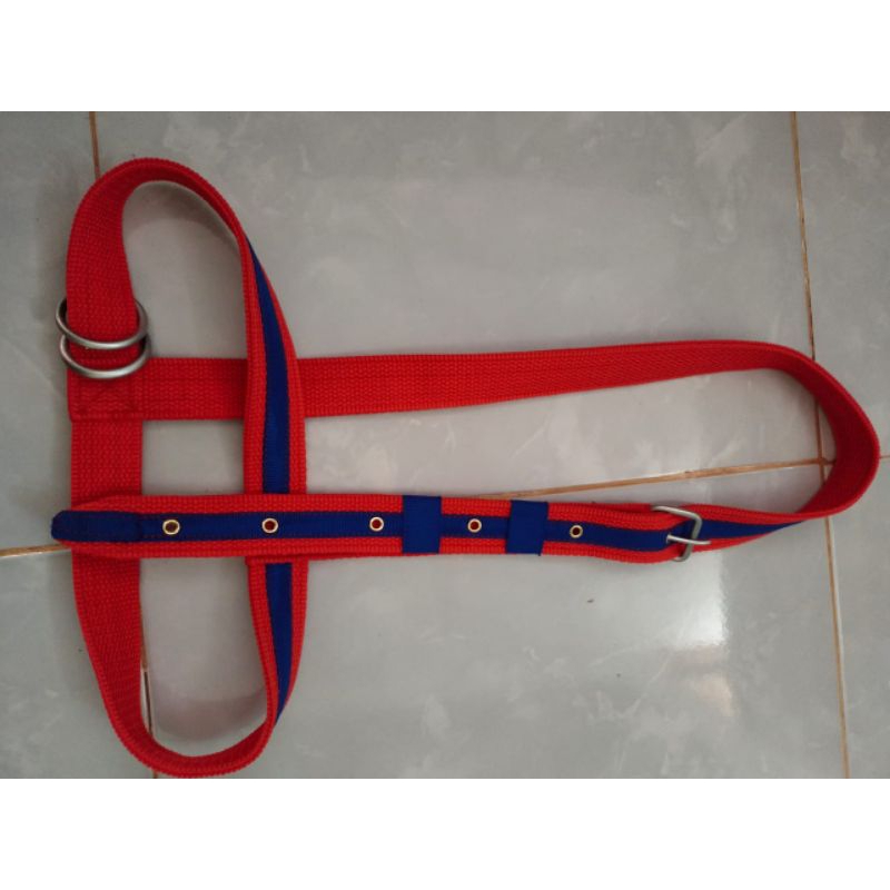 brangus sapi/head halter