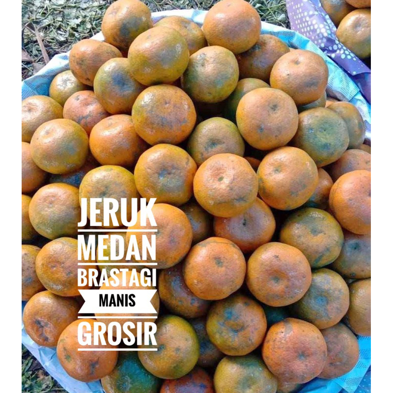 

QUEEN BUAH - BUAH JERUK PERES MEDAN BRASTAGI MANIS GROSIR 1 KG