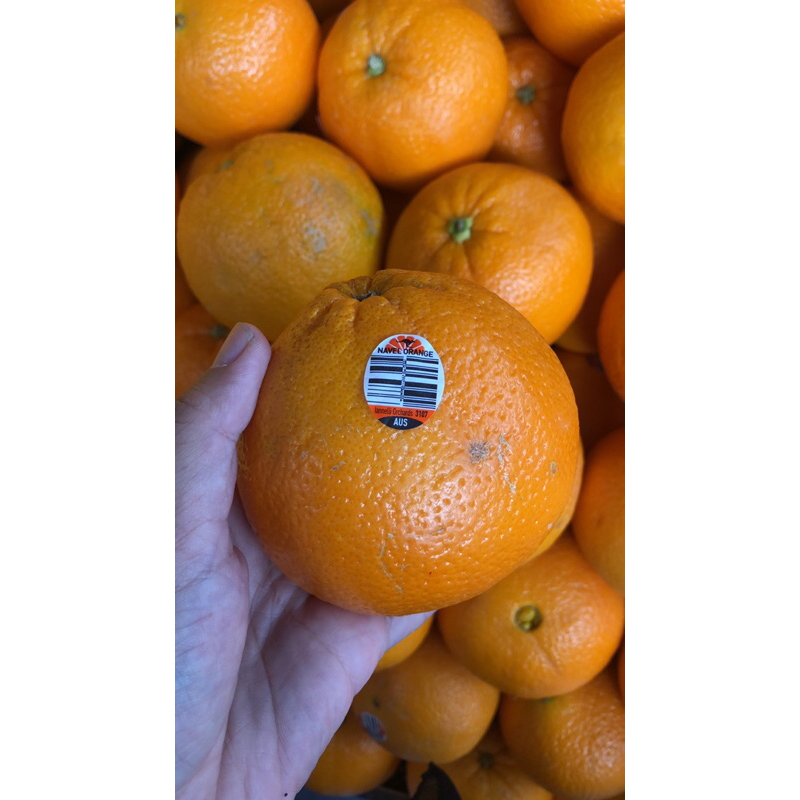

Jeruk Sunkist Orange Australia Super 1 Kg