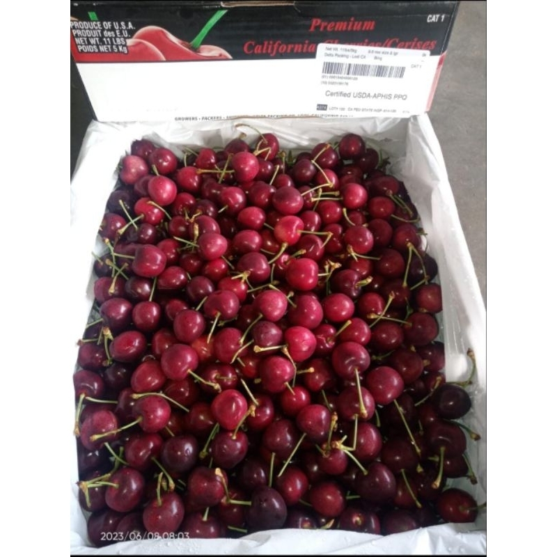 

Buah Ceri