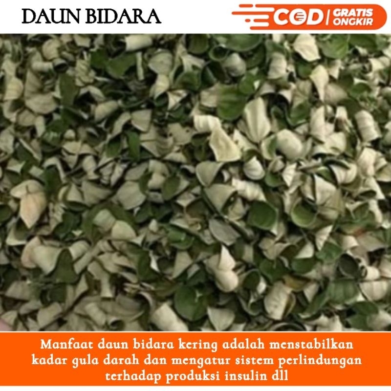 

Daun bidara arab kering 1kg