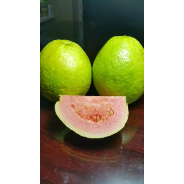 

QUEEN BUAH - BUAH JAMBU BIJI MERAH 1 KG