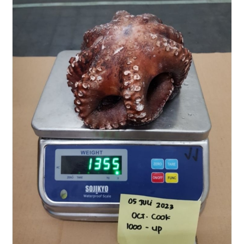 

Gurita Utuh Cook 1000-Up/Octopus Boill 1000-Up