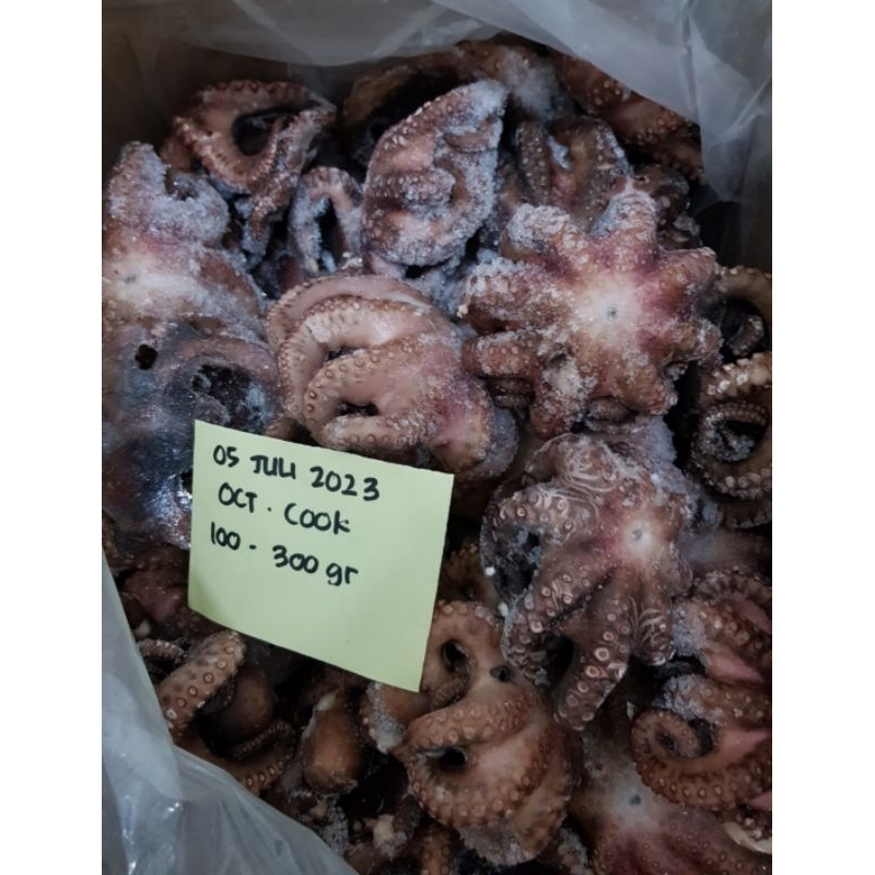 

Gurita Utuh Cook 100-300 GR / Octopus