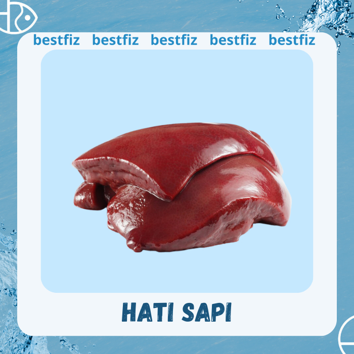 

Hati Sapi