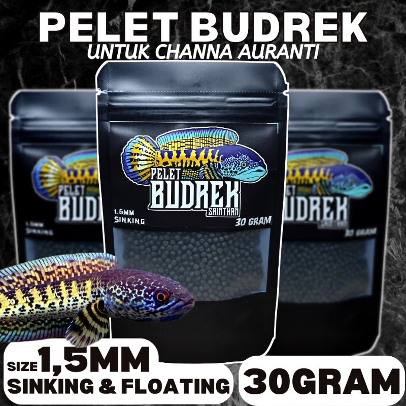 pelet budrek auranti untuk ikan channa aurantimaculata 30gram 1,5mm & 5mm untuk proges warna channa 
