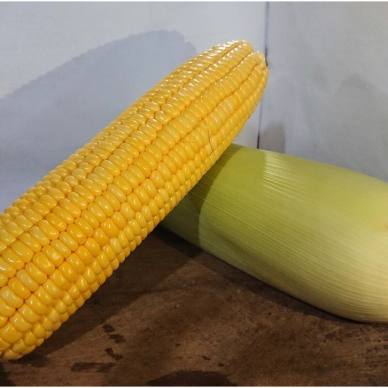 

JAGUNG MANIS / BAKAR 1kg FRESH