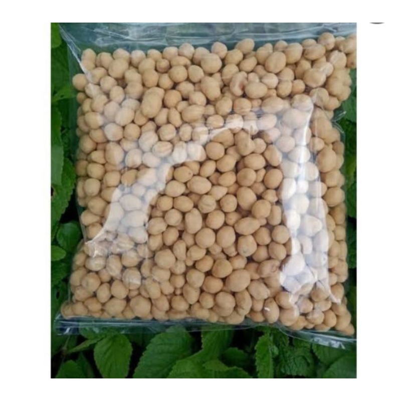 

kacang telur mayasi 1kg