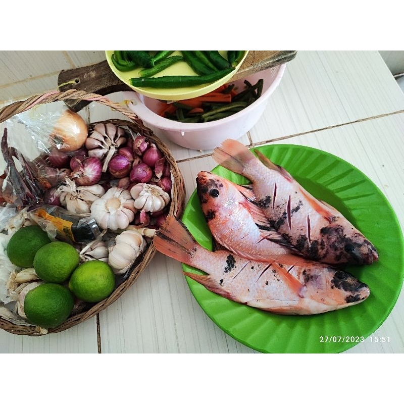 

Ikan segar mujair nila merah