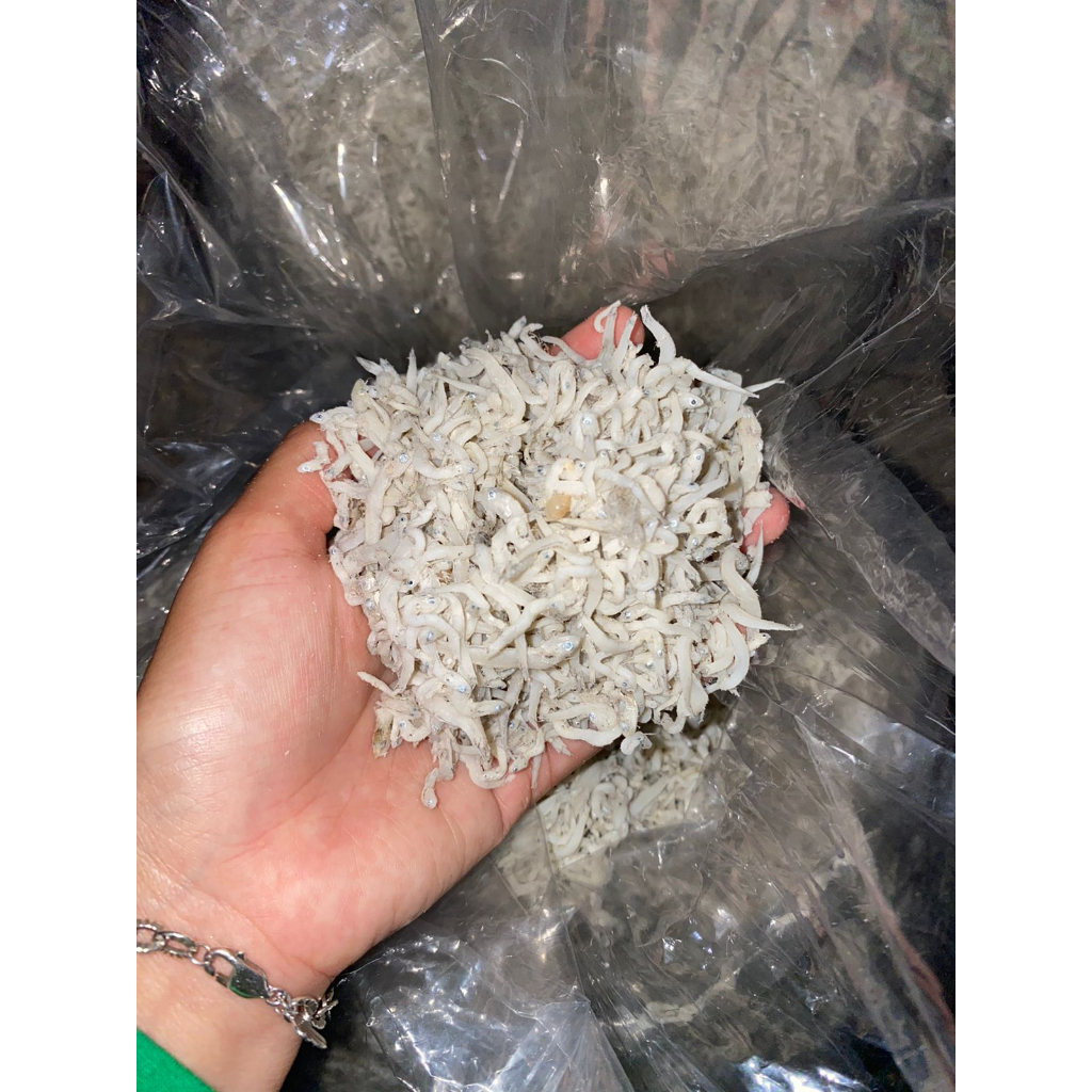 

Teri Nasi Asli Bangka