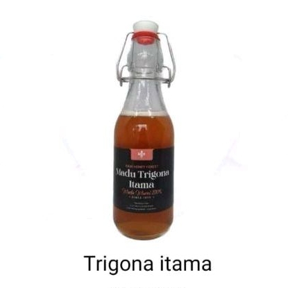 

Madu Trigona Madu Klanceng by D-BEE’S 300 gram