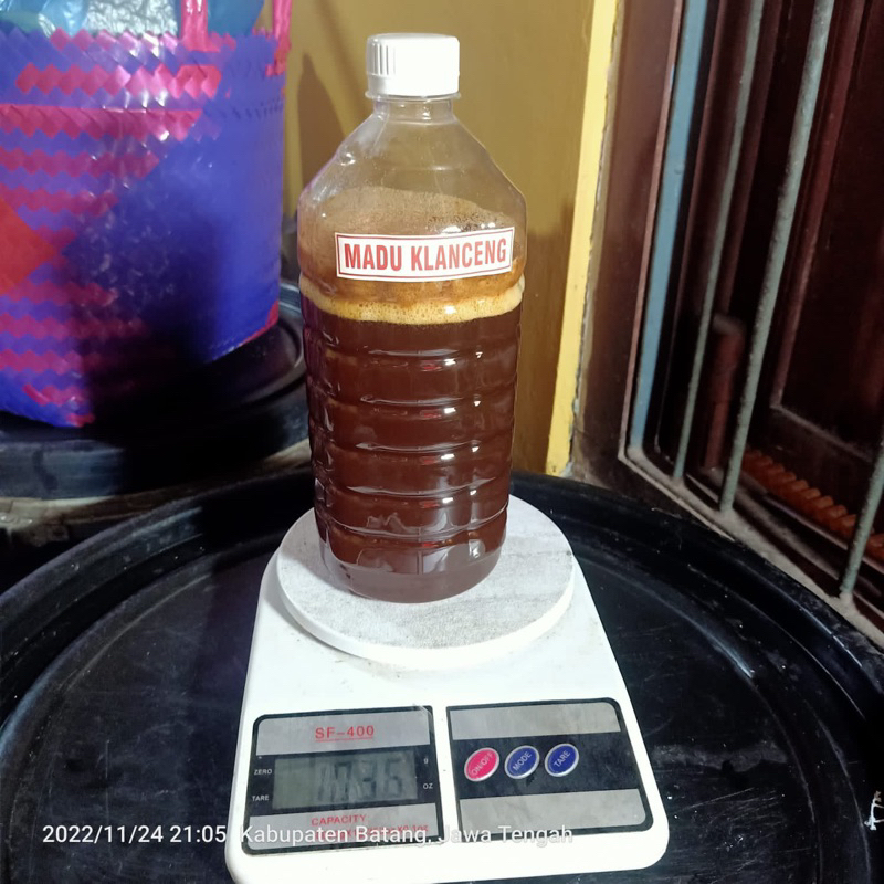 

Madu Kelanceng Alami 1kg