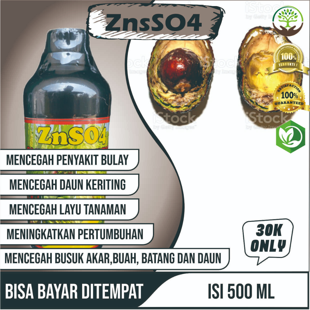 Pupuk ZnSO4 plus Zink Obat busuk Buah Alpukat Paling manjur Pupuk Anti Hama dan Penyakit pada Tanama