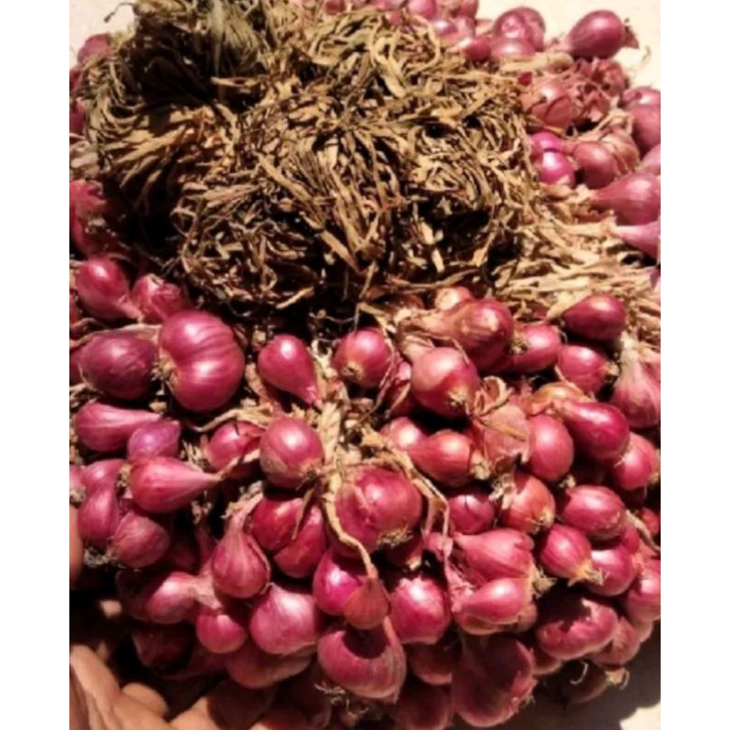 

Bawang merah asli dari asalnya dan petaninya