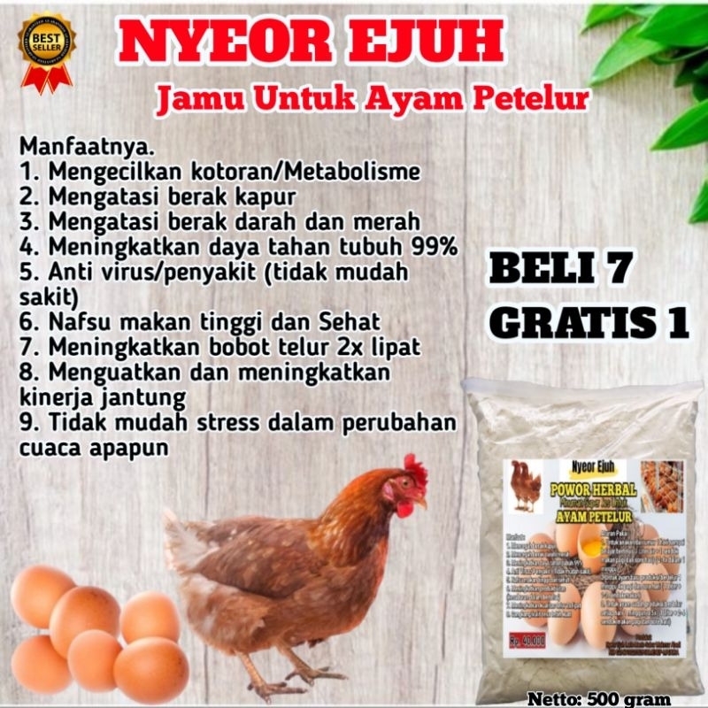 NYEOR EJUH VITAMIN TERNAK KHUSUS AYAM PETELUR - MINUMAN HERBAL AYAM PETELUR -