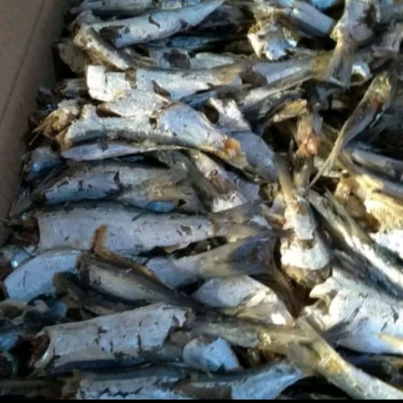 

Ikan Asin Sampah Daging 250 gr